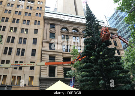 Sydney, Australien. 15 November 2015. Der Weihnachtsbaum wurde in Sydneys Martin Platz aufgestellt. Es ist eine regelmäßige jährliche Funktion. Copyright Credit: 2015 Richard Milnes/Alamy Live-Nachrichten Stockfoto