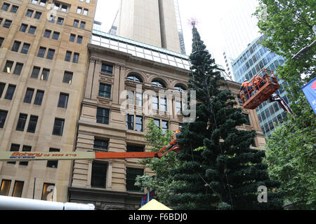 Sydney, Australien. 15 November 2015. Der Weihnachtsbaum wurde in Sydneys Martin Platz aufgestellt. Es ist eine regelmäßige jährliche Funktion. Copyright Credit: 2015 Richard Milnes/Alamy Live-Nachrichten Stockfoto