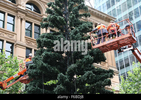 Sydney, Australien. 15 November 2015. Der Weihnachtsbaum wurde in Sydneys Martin Platz aufgestellt. Es ist eine regelmäßige jährliche Funktion. Copyright Credit: 2015 Richard Milnes/Alamy Live-Nachrichten Stockfoto