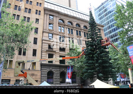 Sydney, Australien. 15 November 2015. Der Weihnachtsbaum wurde in Sydneys Martin Platz aufgestellt. Es ist eine regelmäßige jährliche Funktion. Copyright Credit: 2015 Richard Milnes/Alamy Live-Nachrichten Stockfoto