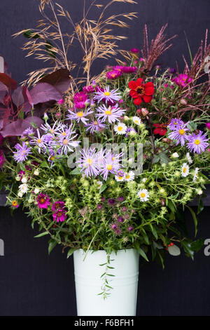 Herbst schneiden Blumenarrangement Waterperry Gärten, Oxon. Stockfoto