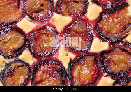 Frisch gebackenen Pflaumenkuchen, Ansicht von oben Stockfoto