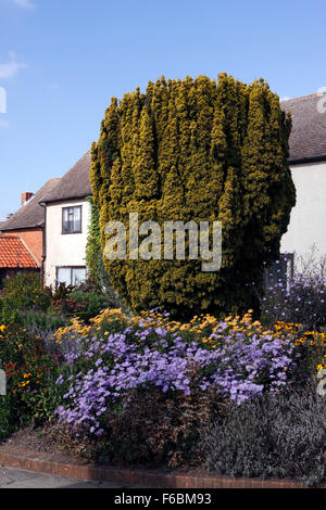 RHS HYDE HALL HERBSTLICHEN GRENZEN. Stockfoto