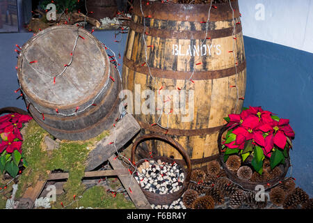 Festliche Dekorationen an der Blandy Madeira Wine Lodge Stockfoto