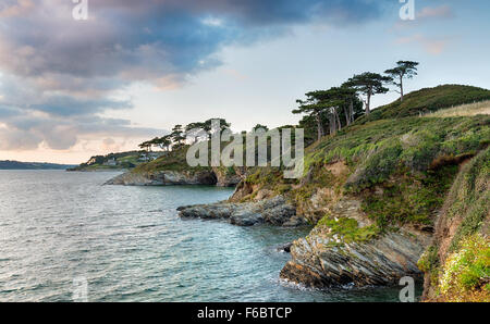 Der South West Coast Path bei St Anthony Head Rückblick auf St Mawes mit dem Schloss in weiter Ferne Stockfoto