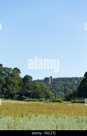 Der Turm von Peckforton Burg erhebt sich über die Bäume und Ackerland auf dem Land in der Nähe von Beeston, Cheshire. Stockfoto