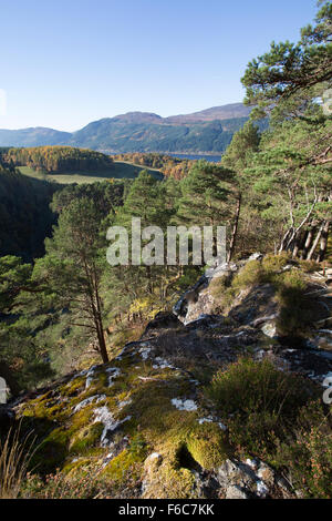 Loch Ness, Schottland. Malerische herbstliche Aussicht auf Camus Waldgebiet in der Nähe der unteren fällt der Foyers über Loch Ness. Stockfoto