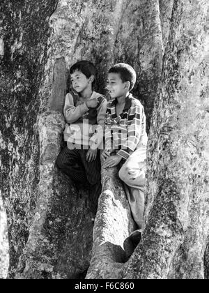 Schwarz / weiß Bild von zwei jungen Kletterbaum in Thakurdwara Dorf, Nepal