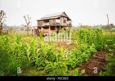 Typisches Dorf Haus und Gemüse Felder in Tarahara Dorf, Tiefland östlich Nepal Stockfoto