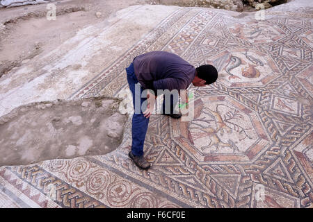 Ein Arbeiter der Israelischen Antikenbehörde reinigt ein 1,700 Jahre altes Mosaik, das während der römischen und byzantinischen Zeit in der israelischen Zentralstadt Lod Israel als Pflaster für den Innenhof einer Villa diente Stockfoto