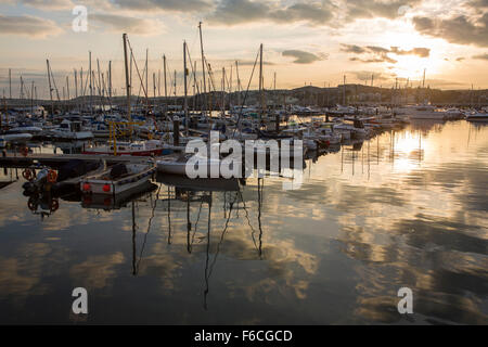 Yachten und Boote in Ruhe, vor Anker im Hafen von Torquay im Vereinigten Königreich. Stockfoto