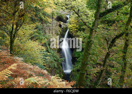 Aira Force, Ullswater. Nationalpark Lake District, Cumbria, UK. Stockfoto