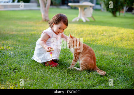 Schönes kleines Mädchen spielt mit einer Katze auf grünen Garten Stockfoto