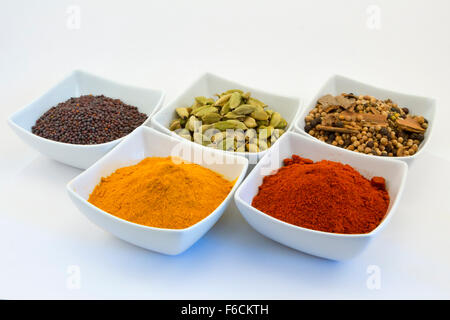 Eine Auswahl an Curry-Gewürze (Senf, Cardomom, Garam Masala, Kurkuma, Paprika) in Schalen vor einem weißen Hintergrund Stockfoto