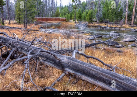 Ein Protokoll legt im Vordergrund der Rotbarsch Creek in der Nähe von Stanley, Idaho. Stockfoto