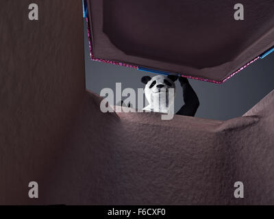 Blick außerhalb vom Kasten auf Panda, die Geschenk öffnet. Charakter entfalten vorhanden Deckel und sieht der Überraschung drin isoliert auf schwarz gra Stockfoto
