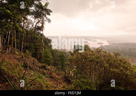 Landschaft von einem tropischen Regenwald, Indichuris Gemeinschaft, Südamerika Stockfoto