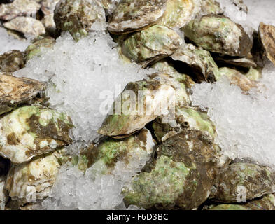 Austern auf Eis zum Verkauf an Chelsea Market, New York geschlossen. Stockfoto