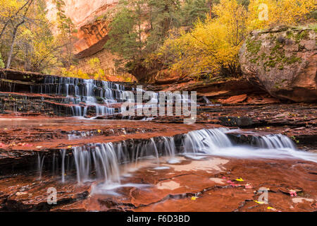 Rot Wasserfälle, auch genannt U-Bahn fällt nur flussabwärts von der U-Bahn auf die linke Gabel des North Creek im Zion National Park. Stockfoto