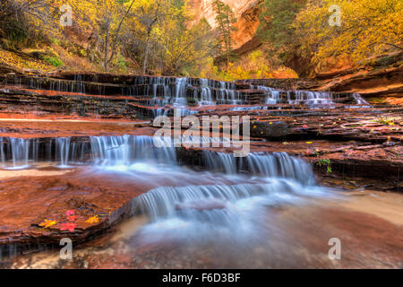 Rot Wasserfälle, auch genannt U-Bahn fällt nur flussabwärts von der U-Bahn auf die linke Gabel des North Creek im Zion National Park. Stockfoto