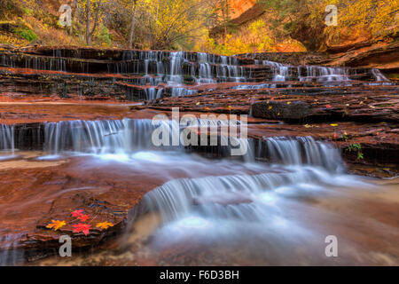 Rot Wasserfälle, auch genannt U-Bahn fällt nur flussabwärts von der U-Bahn auf die linke Gabel des North Creek im Zion National Park. Stockfoto