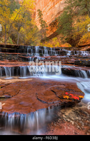 Rot Wasserfälle, auch genannt U-Bahn fällt nur flussabwärts von der U-Bahn auf die linke Gabel des North Creek im Zion National Park. Stockfoto