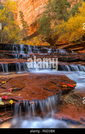 Rot Wasserfälle, auch genannt U-Bahn fällt nur flussabwärts von der U-Bahn auf die linke Gabel des North Creek im Zion National Park. Stockfoto