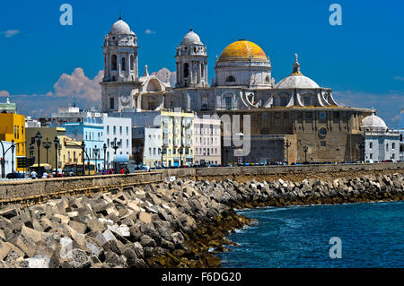 Kathedrale Catedral De La Santa Cruz, Cádiz, Andalusien, Spanien Stockfoto