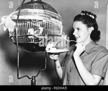 VERÖFFENTLICHT: 22. Juli 1938 - Film Originaltitel: Liebe findet Andy Hardy. IM BILD: JUDY GARLAND. Stockfoto