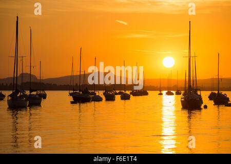 Segeln Boote am Untersee, Sonnenuntergang, Allensbach, Bodensee, Baden-Württemberg, Deutschland Stockfoto