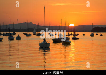 Segeln Boote am Untersee, Sonnenuntergang, Allensbach, Bodensee, Baden-Württemberg, Deutschland Stockfoto