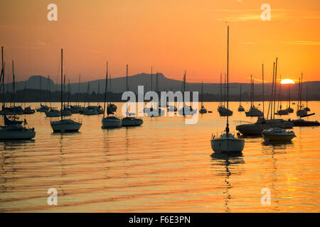 Segeln Boote am Untersee, Sonnenuntergang, Allensbach, Bodensee, Baden-Württemberg, Deutschland Stockfoto