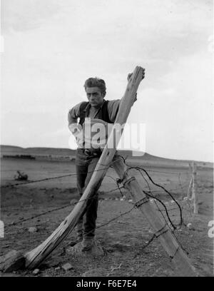 Datum der Freigabe: 24. November 1956. FILMTITEL: Riesen. STUDIO: Riesen-Produktionen. PLOT: Texanischen Rancher Bick Benedict besuchen einen Bauernhof, Maryland um ein Preis-Pferd kaufen. Während dort, er trifft und verliebt sich in die Tochter des Besitzers Leslie, sie sofort verheiratet sind und auf seine Ranch zurück. Im Laufe der Geschichte ihrer Familie und seine Rivalität mit Cowboy und (später Öl-Tycoon) Jett Rink über zwei Generationen hinweg. Im Bild: JAMES DEAN als Jett Rink Stockfoto