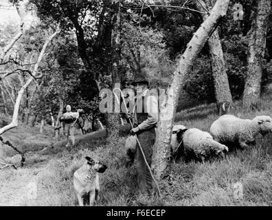 Datum der Freigabe: August 1958. FILMTITEL: Fluch des gesichtslosen Menschen STUDIO: Robert E. Kent Productions. PLOT: In den Ausgrabungen von Pompeji ist eine Stein-verkrusteten Leiche mit einer Bronze Medaillon mit einem seltsamen etruskische Inschrift gefunden. Carlo Fiorillo, italienischer Archäologe, spekuliert, dass das robuste Gehäuse einige Leben halten kann; medizinische Forscher Paul Mallon spottet über die Idee. Aber die Leute, die allein mit der scheinbar Petrifiedfaceless Mann halten sterben der zerquetschten Schädel; und Pauls Künstler FiancZe Tina beginnt mit seltsamen Visionen. IM BILD:. Stockfoto