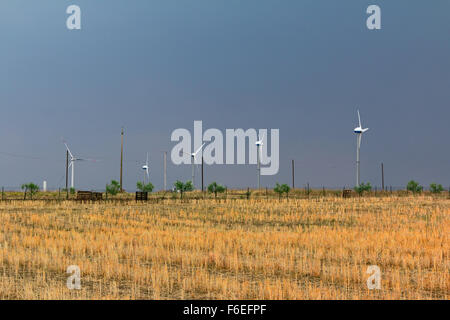 Landschaft von Weizenfeld mit Windkraftanlagen Stockfoto