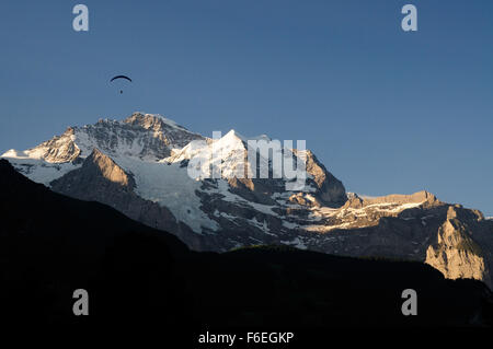 Am frühen Morgen Sonnenschein auf die Jungfrau (4158m), von Wengen gesehen. Stockfoto