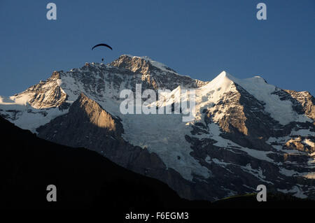 Am frühen Morgen Sonnenschein auf die Jungfrau (4158m), von Wengen gesehen. Stockfoto