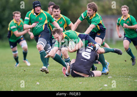 Rugby-Dorset & Wiltshire Cup Semi-Finale 2015 Stockfoto