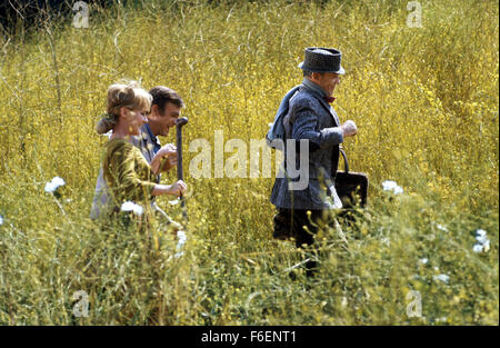 DATUM DER FREIGABE: 1968. STUDIO: Warner Brothers. PLOT: Eine geheimnisvolle Ire Finian und seine schöne Tochter Sharon, kommen eines Tages in Rainbow Valley, eine kleine Stadt im Süden von Tabak Pächter im mythischen Bundesstaat Missitucky. Die Stadt hat einen eigenen Wohnsitz Träumer, Woody Mahoney, der denkt, dass er möglicherweise in der Lage, die Stadt auf der Karte durch die Kreuzung Minze mit Tabak, so dass es bereits Menthol wachsen. Finian ist in die Stadt kommen, weil er einen Kobold Topf Gold gestohlen hat und plant, in den Boden zu Pflanzen, damit es schneller wachsen werde. Aber bald Schwierigkeiten kommt. IM BILD: PETULA CLARK Stockfoto