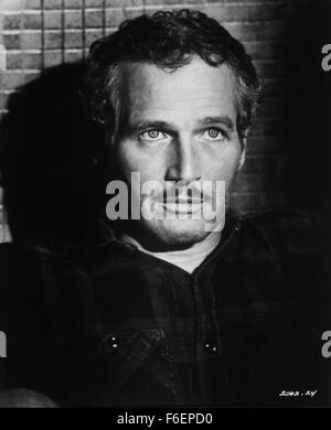 1. Januar 1970 - Paul Newman, am Set des Films, Sting, 1973 (Bild Kredit: C Glasshouse/Unterhaltung Bilder) Stockfoto