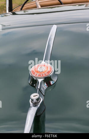 PARMA, Italien - APRIL 2015: Jaguar XK 150 Emblem im Kofferraum eines Autos, Auto-Rückansicht Stockfoto