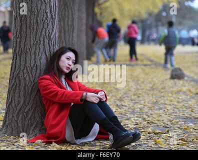 Peking, China. 17. November 2015. Ein Tourist posiert für Fotos unter Ginkgo-Bäume auf einer Straße nahe Diaoyutai State Guesthouse in Peking, China, 17. November 2015. Bildnachweis: Chen Yehua/Xinhua/Alamy Live-Nachrichten Stockfoto