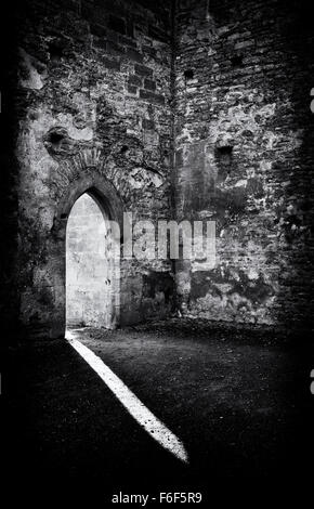 Minster Lovell Hall Ruinen Tür und Licht. Oxfordshire, England. Monochrom Stockfoto