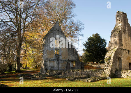 Minster Lovell Hall Ruinen im Herbst. Oxfordshire, England. Stockfoto