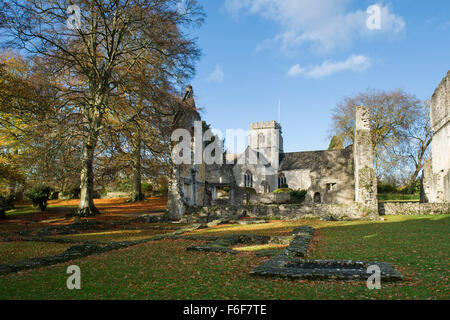 Minster Lovell Hall Ruinen im Herbst. Oxfordshire, England. Stockfoto