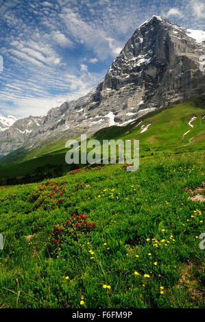 Die Nordwand des Eiger (3970m). Stockfoto