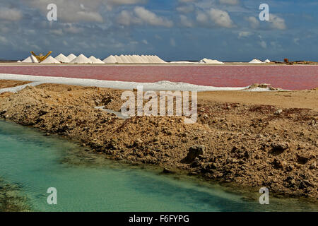 Salzproduktion Bonaire Niederländische Antillen Stockfoto