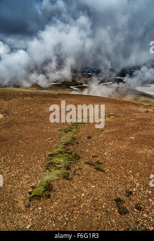 Geothermalen Gebieten, Landmannalaugar und Hrafntinnusker, Hochland, Island Stockfoto