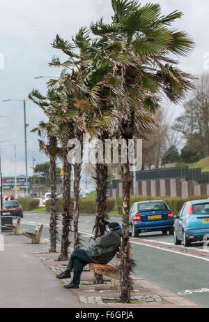 Southend on Sea, Vereinigtes Königreich. 17. November 2015. Sturm-Barney - hohe Winde bei Southend. Bildnachweis: Darren Attersley/Alamy Live News Stockfoto