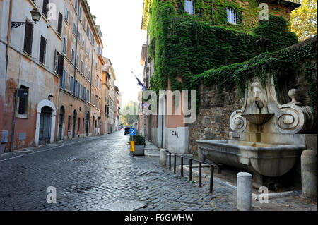 Fontana del Mascherone, Via Giulia, Rom, Italien Stockfoto